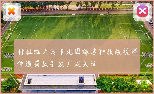 特拉维夫马卡比因球迷种族歧视事件遭罚款引发广泛关注