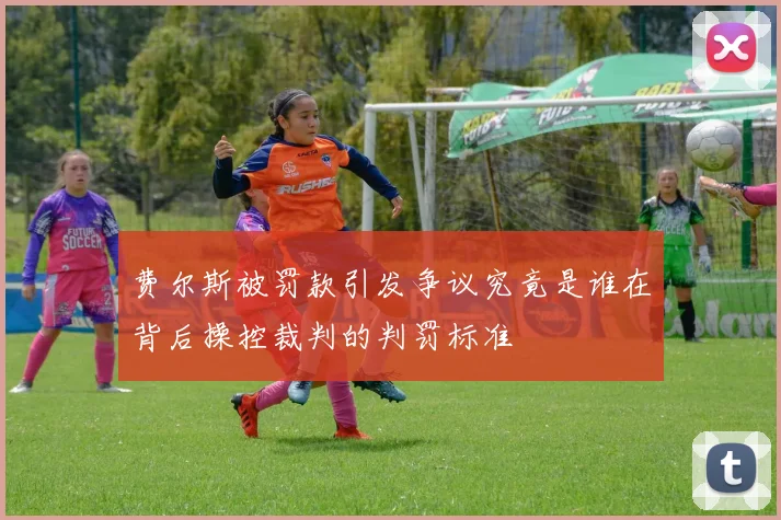 费尔斯被罚款引发争议究竟是谁在背后操控裁判的判罚标准