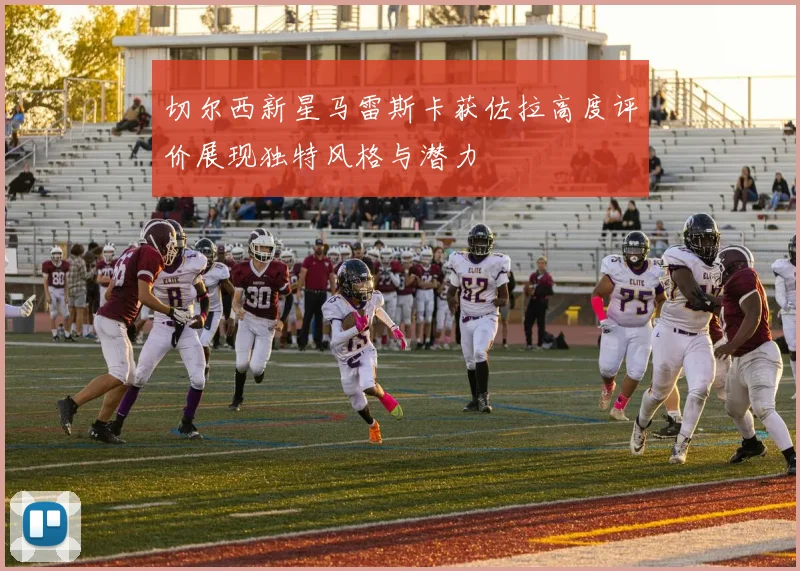 切尔西新星马雷斯卡获佐拉高度评价展现独特风格与潜力