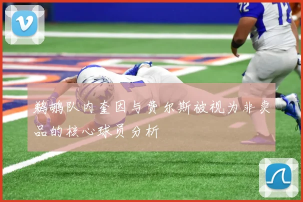 鹈鹕队内奎因与费尔斯被视为非卖品的核心球员分析